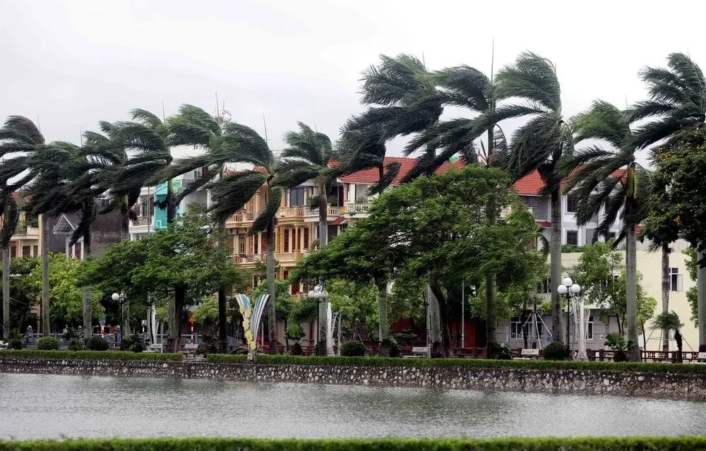 Thời tiết ngày 14/9: Cao nguyên Trung Bộ và Nam Bộ mưa lớn - Ảnh 1.