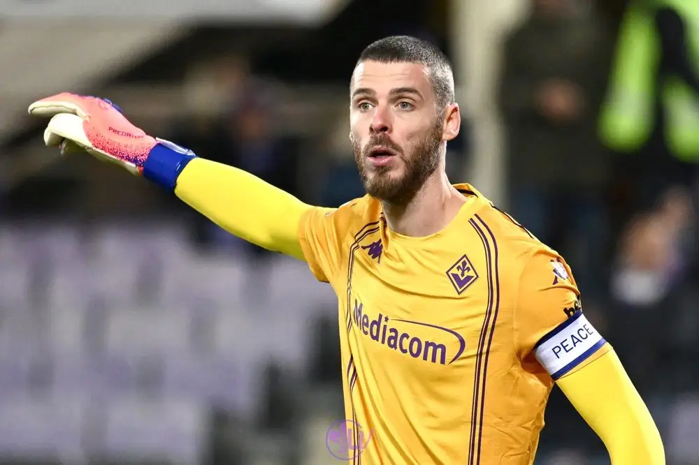 Fiorentina trong nỗ lực trụ hạng: Giao trọng trách cho De Gea - Ảnh 1.
