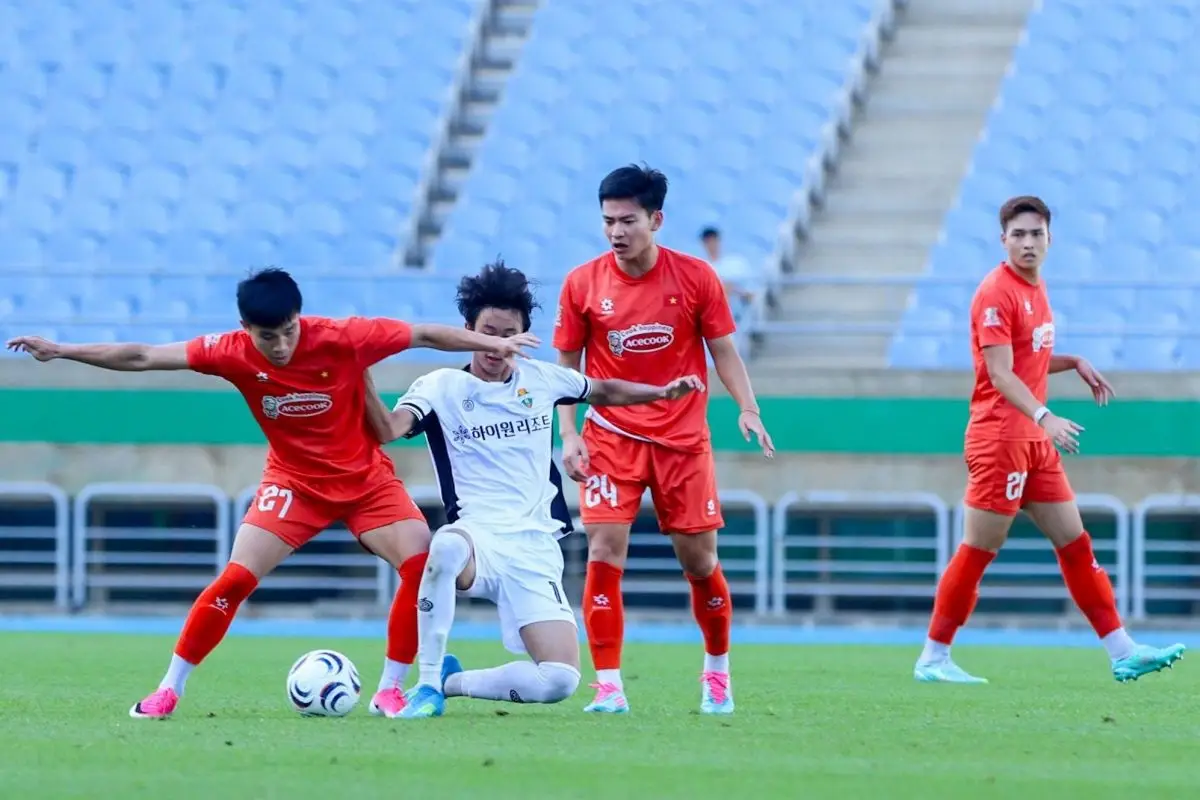 dT Viet Nam tap huan
