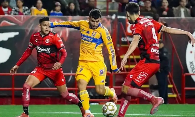 Soi kèo phạt góc Tijuana vs Tigres, 10h10 ngày 17/7 - Ảnh 1